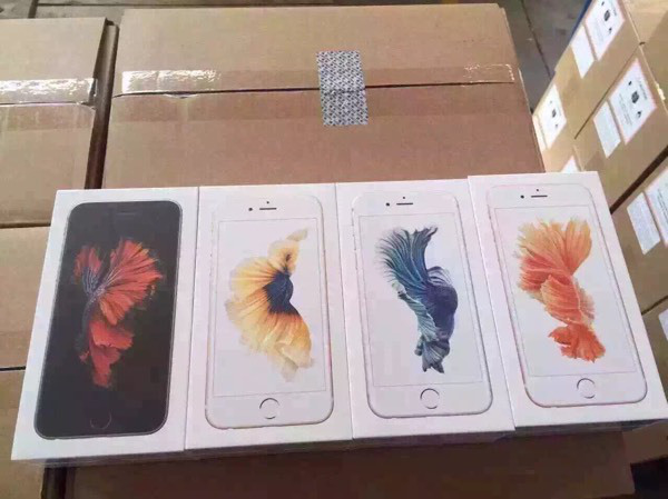 iPhone 6s Kutuları